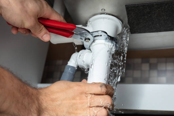 Best Water damage contractors near me  in Mount Healthy Heights, OH