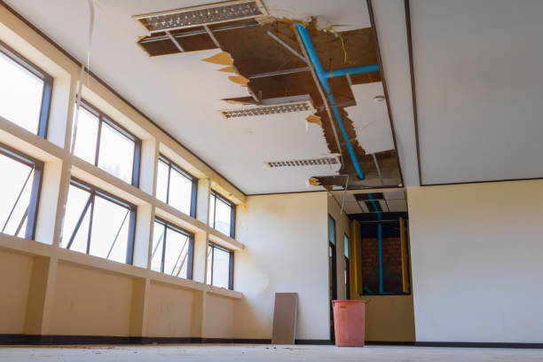 Best Residential water damage restoration  in Mount Healthy Heights, OH