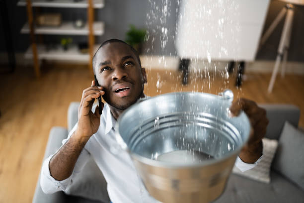Best 24/7 water damage repair  in Mount Healthy Heights, OH