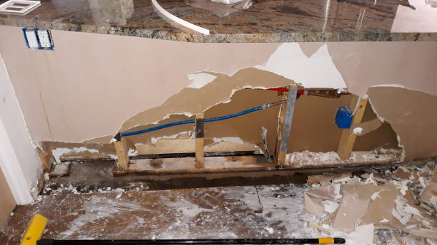 Best Fire Damage Restoration  in Mount Healthy Heights, OH