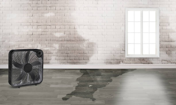 Best Flood damage cleanup  in Mount Healthy Heights, OH