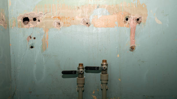 Best Flood restoration services  in Mount Healthy Heights, OH