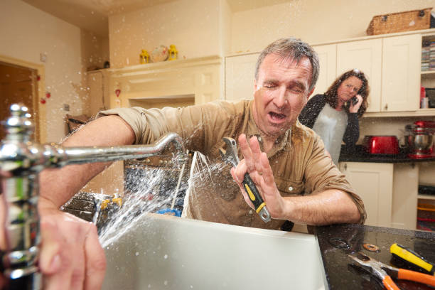 Best Water damage cleanup near me  in Mount Healthy Heights, OH